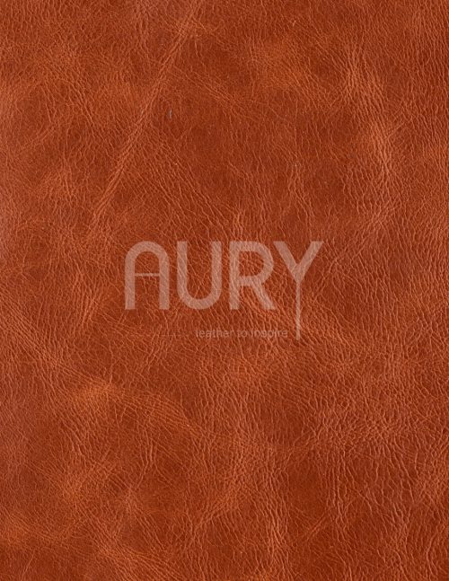 da bo cao cap auryvietnam
