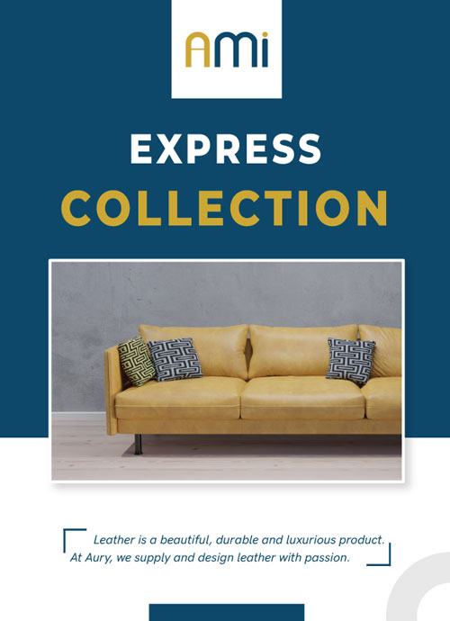 AMi Express Collection